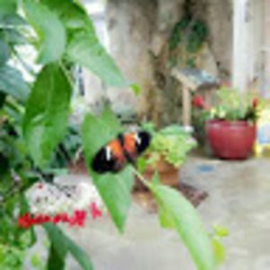 Meet your Posher, Brooklynn